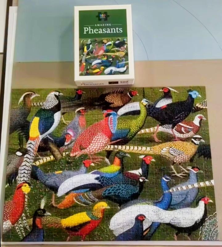 Amazing Pheasants puzzle — completed puzzle with box
