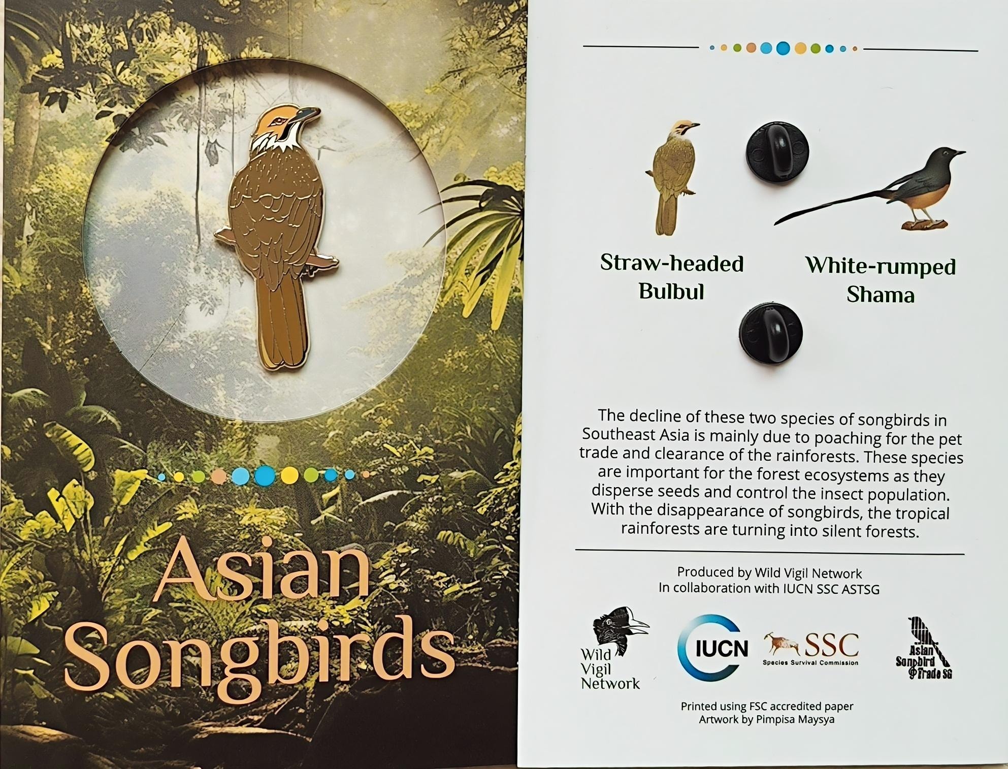 Asian Songbird pin card — front and back