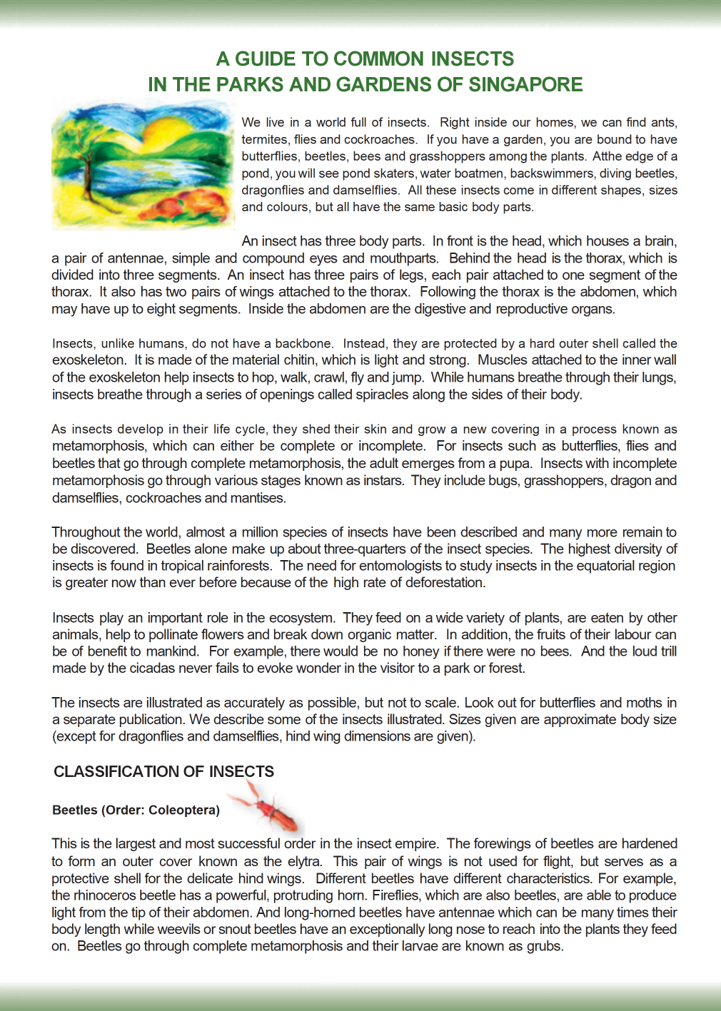 Insects guide — back cover